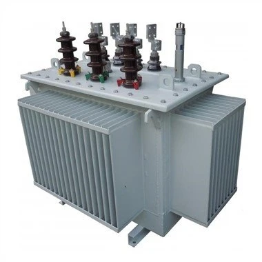 10kv 오일 침지 변압기