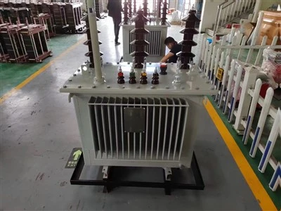 33/11Kv 5000Kva 기름에 잠긴 배전 변압기
